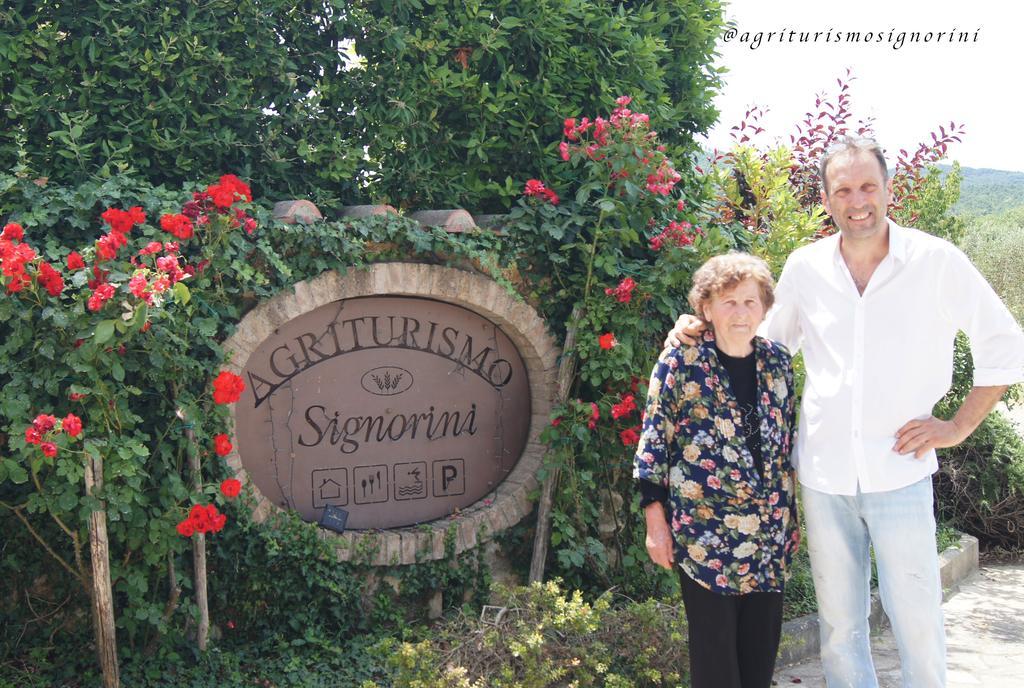 Agriturismo Signorini Orciatico 外观 照片