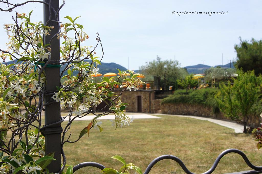 Agriturismo Signorini Orciatico 外观 照片