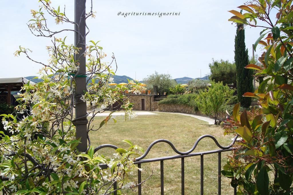 Agriturismo Signorini Orciatico 外观 照片
