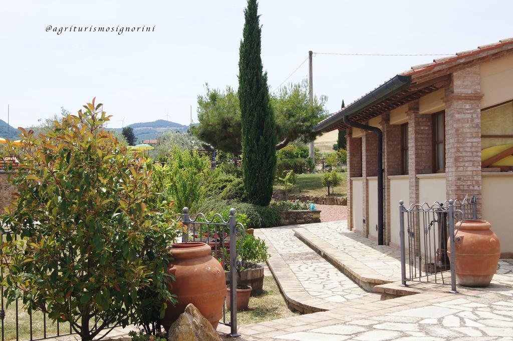 Agriturismo Signorini Orciatico 外观 照片