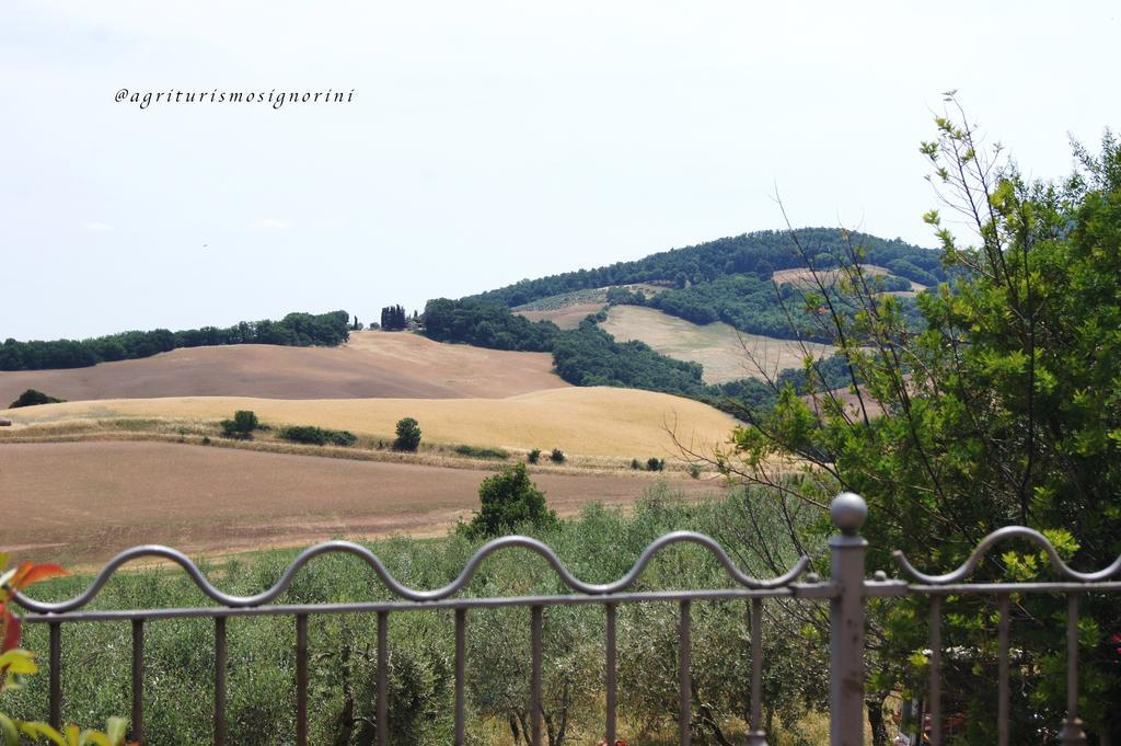 Agriturismo Signorini Orciatico 外观 照片