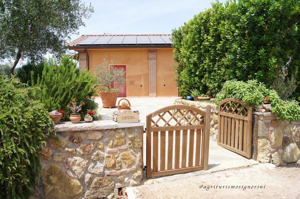 Agriturismo Signorini Orciatico 外观 照片