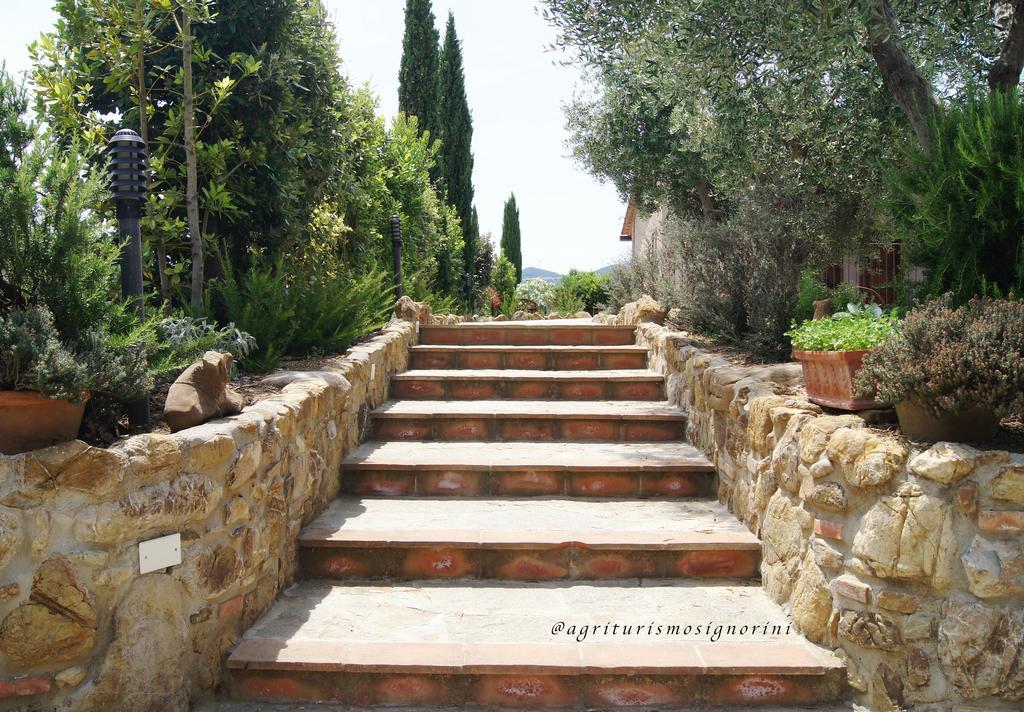 Agriturismo Signorini Orciatico 外观 照片